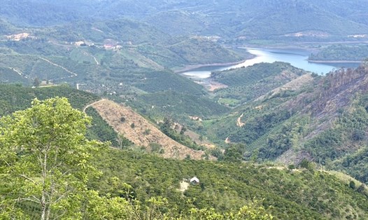 Khu vực UBND huyện Đắk Glong cấp 65 "sổ đỏ" nằm trên đất quy hoạch ba loại rừng. Ảnh: Phan Tuấn