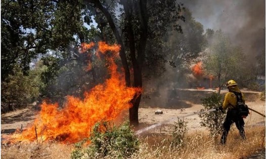 Đám cháy rừng Oak Fire tại California, Mỹ. Ảnh: AFP