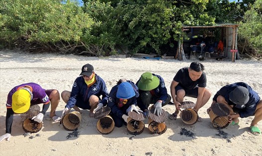 Các tình nguyện viên tham gia bảo tồn rùa biển ở Côn Đảo. Ảnh: Hoàng Phước