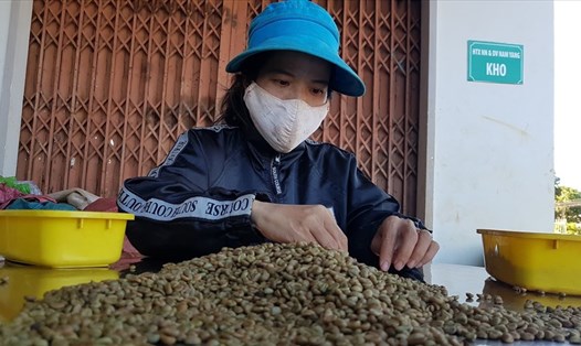 Trung Quốc là thị trường lớn nhập khẩu cà phê từ Việt Nam. Ảnh: Vũ Long
