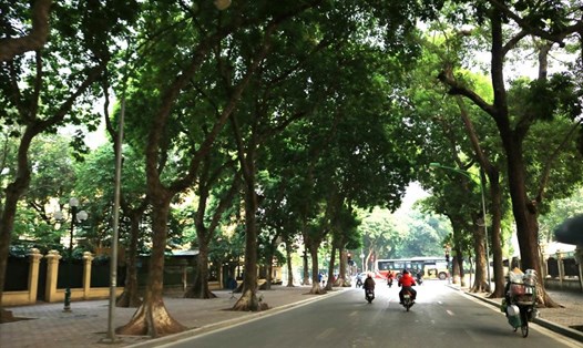 Cần thêm những giải pháp cho không gian xanh tại Hà Nội. Ảnh XD