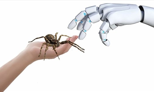 Các nhà khoa học biến nhện chết thành 'robot xác sống'. Ảnh chụp màn hình