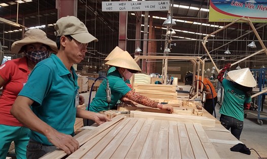 Thương mại gỗ luôn đạt thặng dư thương mại, hàng năm có giá trị xuất siêu lớn. Ảnh: Vũ Long