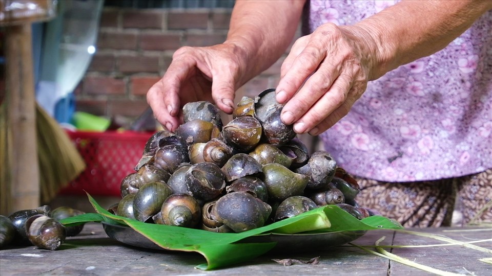 Ngược dòng thời gian tìm Ốc gác bếp miền Tây