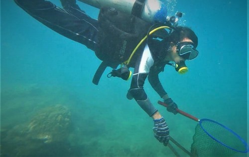 Hoạt động du lịch cũng là một trong những thách thức trong công tác phục hồi, bảo vệ hệ sinh thái rạn san hô ở Cù Lao Chàm. Ảnh: TQ