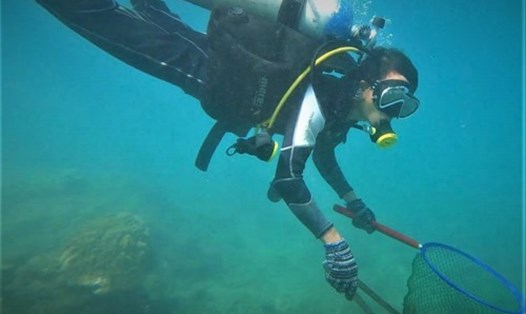 Hoạt động du lịch cũng là một trong những thách thức trong công tác phục hồi, bảo vệ hệ sinh thái rạn san hô ở Cù Lao Chàm. Ảnh: TQ