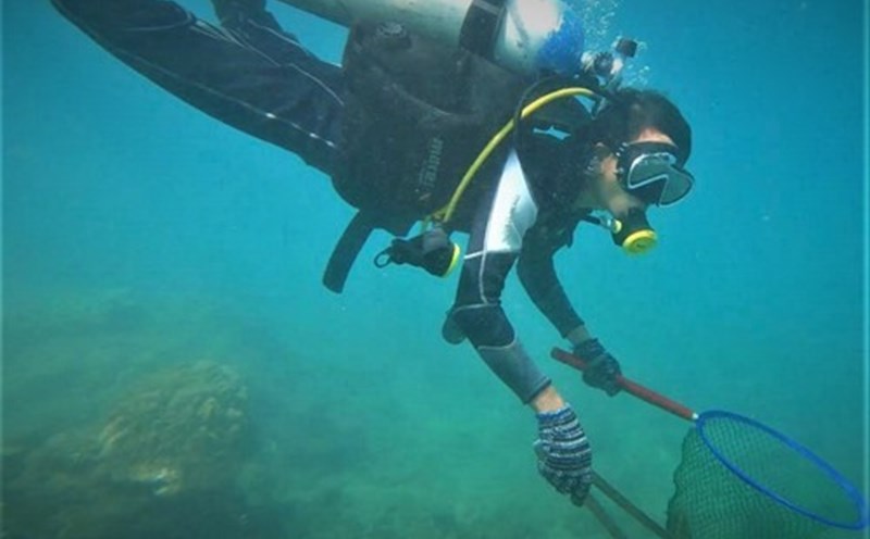 Hoạt động du lịch cũng là một trong những thách thức trong công tác phục hồi, bảo vệ hệ sinh thái rạn san hô ở Cù Lao Chàm. Ảnh: TQ