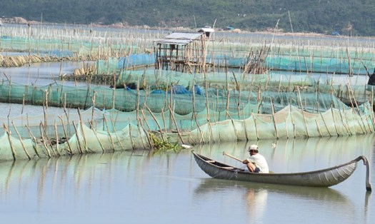 Nhiều diện tích mặt nước tại đầm Ô Loan bị người dân cắm cọc giăng lưới để khai thác thủy sản.