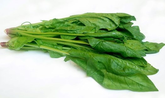 Rau xanh lá là loại thực phẩm giúp giảm nguy cơ mắc bệnh tim, đột quỵ và một số bệnh ung thư. Ảnh: AFP