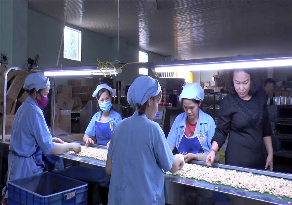 Người lao động ở tỉnh Đắk Nông làm việc trong doanh nghiệp chế biến hạt điều. Ảnh: Phan Tuấn