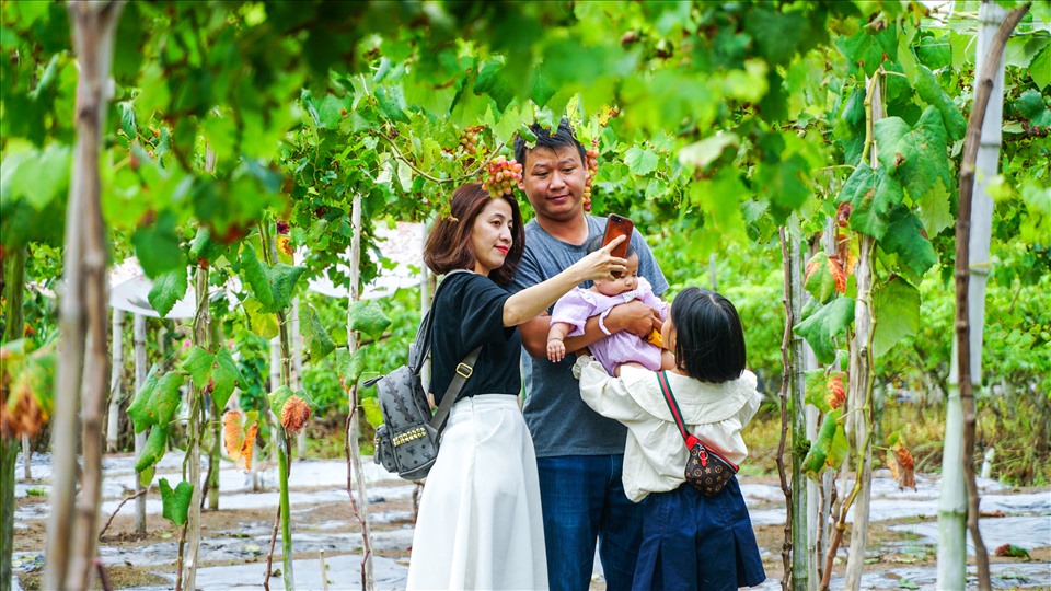 An Giang farmer develops unique home-grown tourism after COVID-19