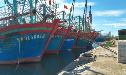 Hàng nghìn tàu cá của ngư dân Nghệ An phải nằm bờ vì giá dầu tăng quá cao, ra khơi sẽ thua lỗ. Ảnh: QĐ
