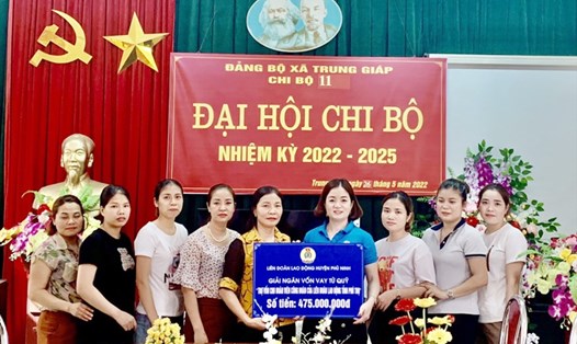 19 đoàn viên thực hiện dự án Chăn nuôi lợn thịt được LĐLĐ tỉnh Phú Thọ hỗ trợ vay vốn. Ảnh: ĐVCC.