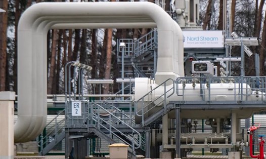 Đường ống Nord Stream 1 dẫn khí đốt từ Nga sang Đức chuẩn bị đóng để bảo trì. Ảnh: AFP