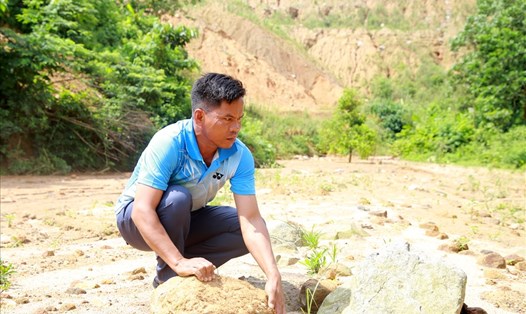 Ruộng lúa của người dân ở xã Húc bị bãi thải của nhà máy điện gió Tài Tâm bồi lấp nghiêm trọng. Ảnh: Hưng Thơ.