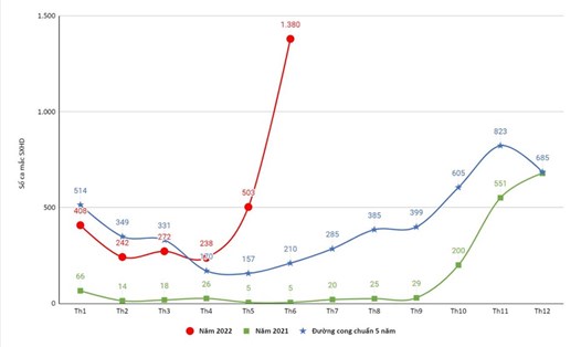 Biểu đồ phân bố số ca mắc sốt xuất huyết theo tháng năm 2022 so với cùng kỳ và so với đường cong chuẩn 5 năm gần nhất. Ảnh: CDC Đà Nẵng