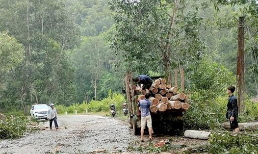 Dông lốc khiến hàng loạt cây đổ gãy trên nhiều tuyến đường huyện Na Hang. Ảnh: T.L