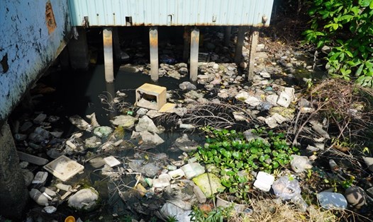 Tại một số khu vực nước bị tù đọng lâu ngày, lượng rác thải rất lớn, tạo điều kiện sinh sôi cho muỗi. Ảnh: Chân Phúc