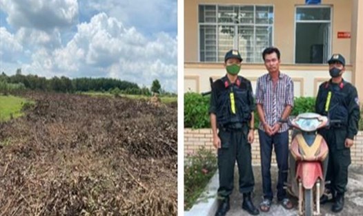 Hiện trường vụ chặt trộm cây Tràm và đối tượng Nguyễn Xuân Duy. Ảnh: CA ĐN