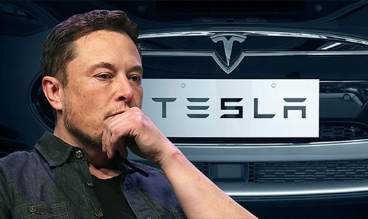 Cổ phiếu Tesla tăng vọt khi Elon Musk rút khỏi thỏa thuận với Twitter. Ảnh chụp màn hình.