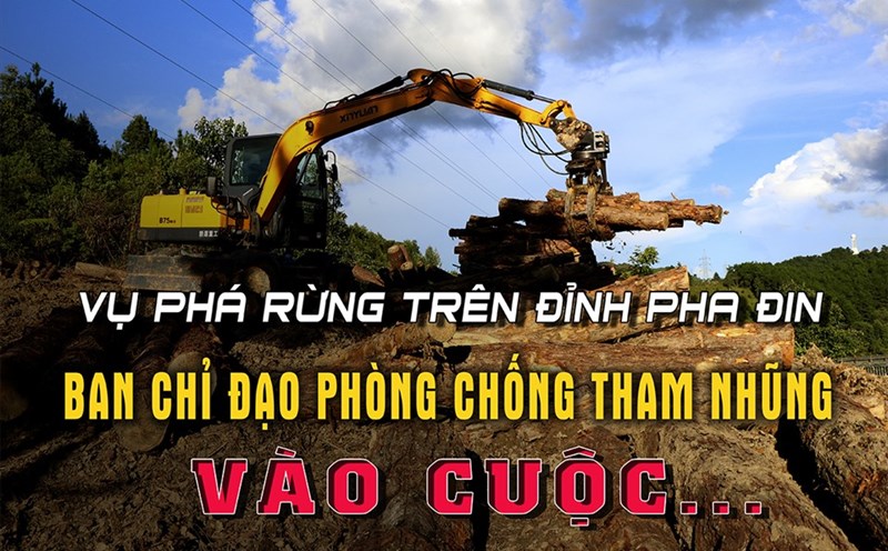 150 tháng tù cho 5 bị cáo sau loạt phản ánh Phá rừng trên đỉnh Pha Đin