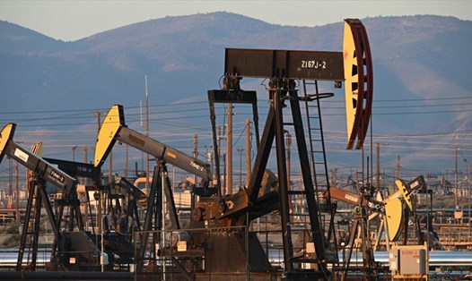 OPEC+ dự kiến họp vào ngày 3.8 để bàn về sản lượng dầu. Ảnh: AFP