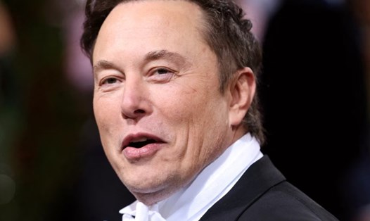 Dự án tiếp theo của Elon Musk có thể là một sân bay cá nhân. Ảnh chụp màn hình.