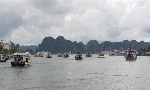 Các tàu du lịch vịnh Hạ Long tạm dừng hoạt động đưa đón khách từ 12h ngày 10.8. Ảnh: Nguyễn Hùng
