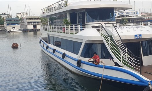 Tàu du lịch trên vịnh Hạ Long được phép hoạt động trở lại từ sáng nay (11.8). Ảnh: Nguyễn Hùng