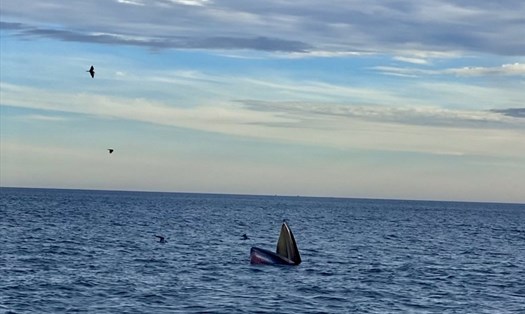 Đàn "cá voi xanh" hiếm gặp liên tục xuất hiện ở ven biển Đề Gi để kiếm ăn.