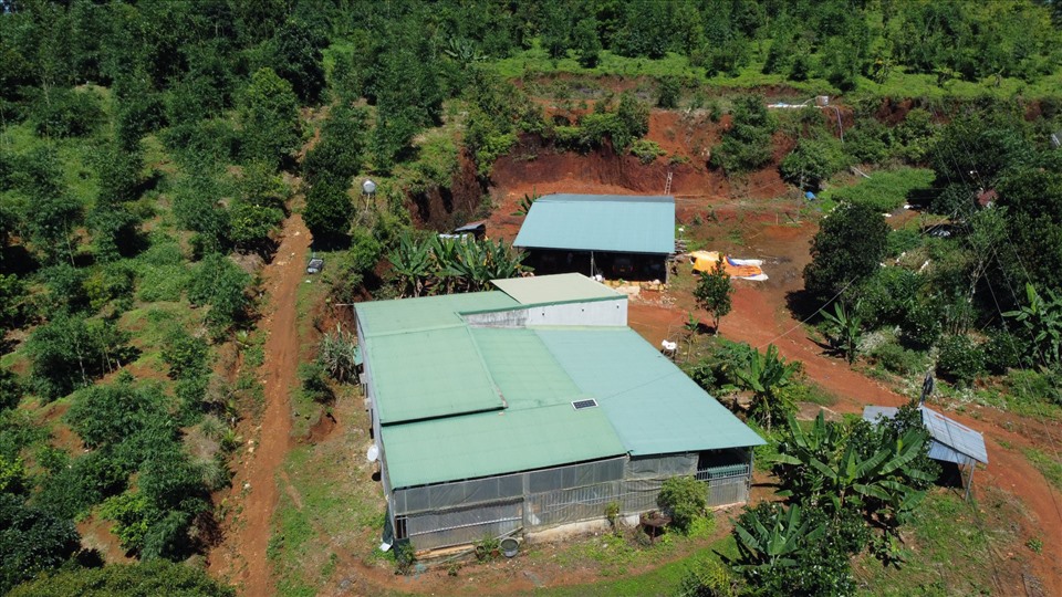 Một diện tích được cơ quan chức năng huyện Đắk Glong cấp Giấy chứng nhận quyền sử dụng đất trên đất quy hoạch ba loại rừng. Ảnh: T.Q.