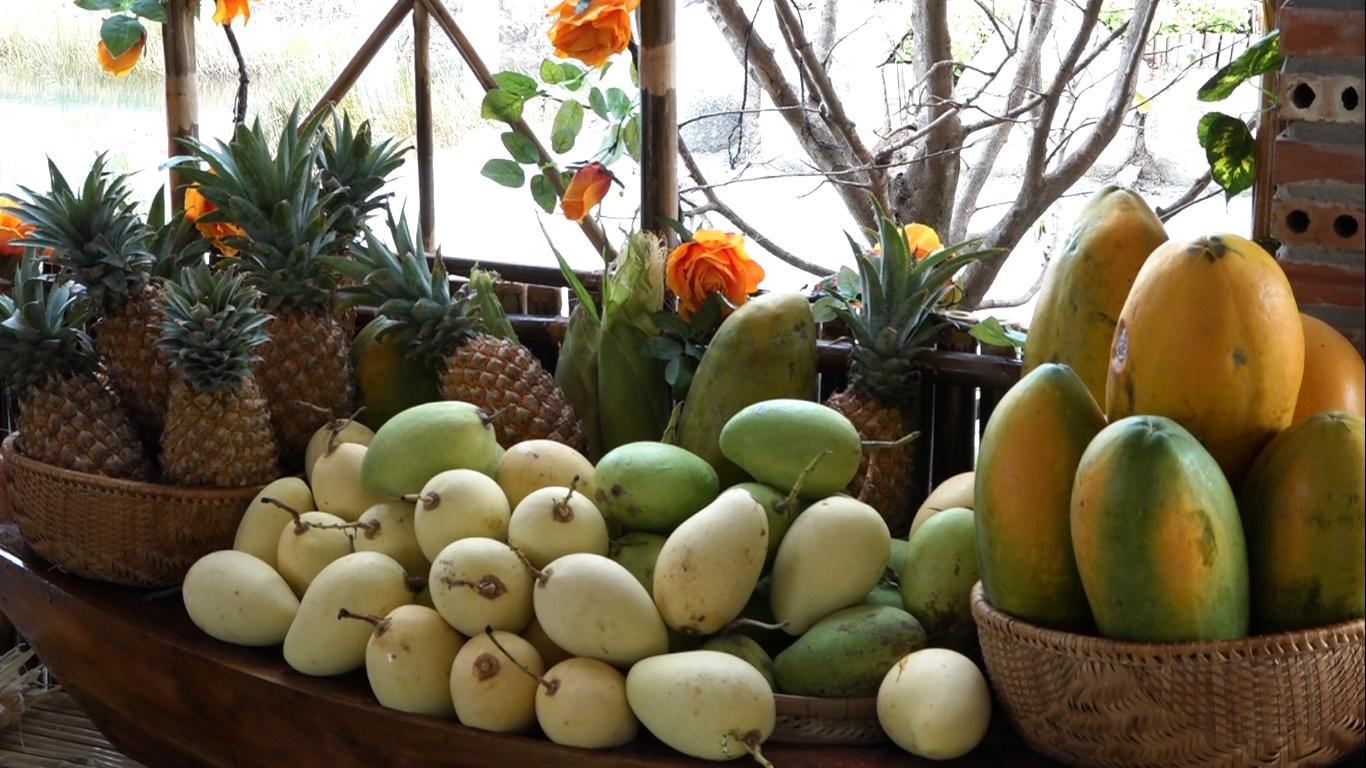 Đến năm 2025 phấn đấu có ít nhất 4 điểm du lịch nông thôn được tham gia đánh giá, phân hạng sản phẩm OCOP từ 3-4 sao, định hướng 5 sao. Ảnh: PV