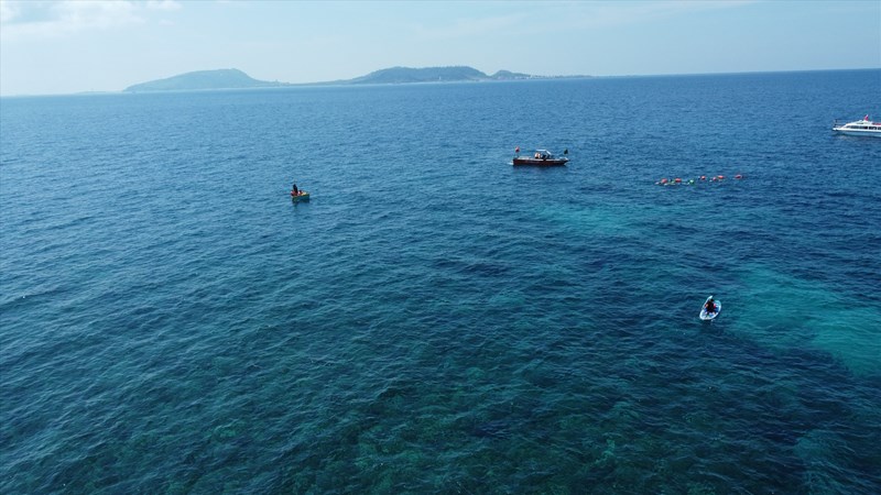 Quảng Ngãi: 36 vận động viên trẻ chinh phục đường bơi vượt biển đảo Lý Sơn