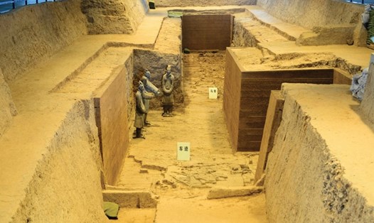 Các nhà nghiên cứu phân tích xương ngựa ở lăng mộ Tần Thủy Hoàng. Ảnh: Cambridge University Press