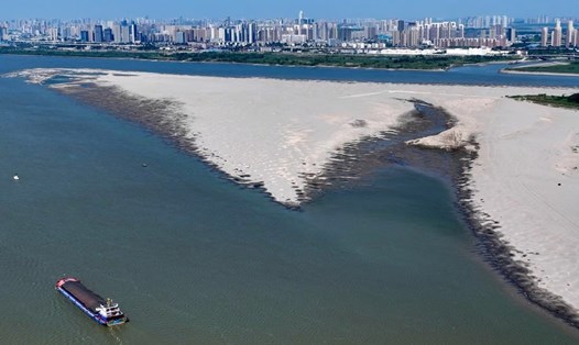 Sông Dương Tử, trong ảnh là đoạn đi qua Vũ Hán, tỉnh Hồ Bắc, đang ở mực nước thấp nhất ở thời điểm này trong năm kể từ khi bắt đầu ghi dữ liệu năm 1865. Ảnh chụp màn hình