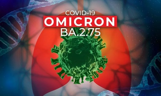 Biến thể BA.2.75 của Omicron đã xuất hiện tại Việt Nam. Ảnh: News-Medical