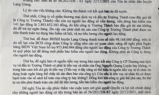 Đơn kháng cáo của Công đoàn ngành Công Thương tỉnh Bắc Giang. Ảnh: Bảo Hân