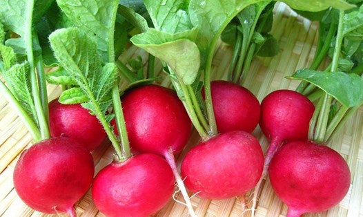 Củ cải đỏ chứa nhiều lợi ích đối với sức khỏe mà bạn không nên bỏ qua. Ảnh: Pinterest