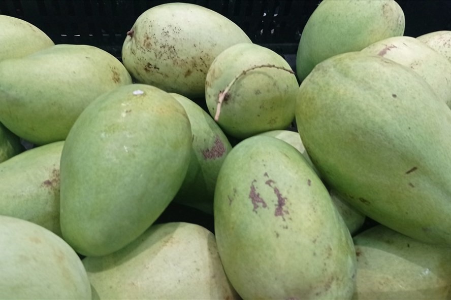 Nước xoài xanh luộc có thể điều trị mụn trứng cá. Ảnh: Doãn Hằng