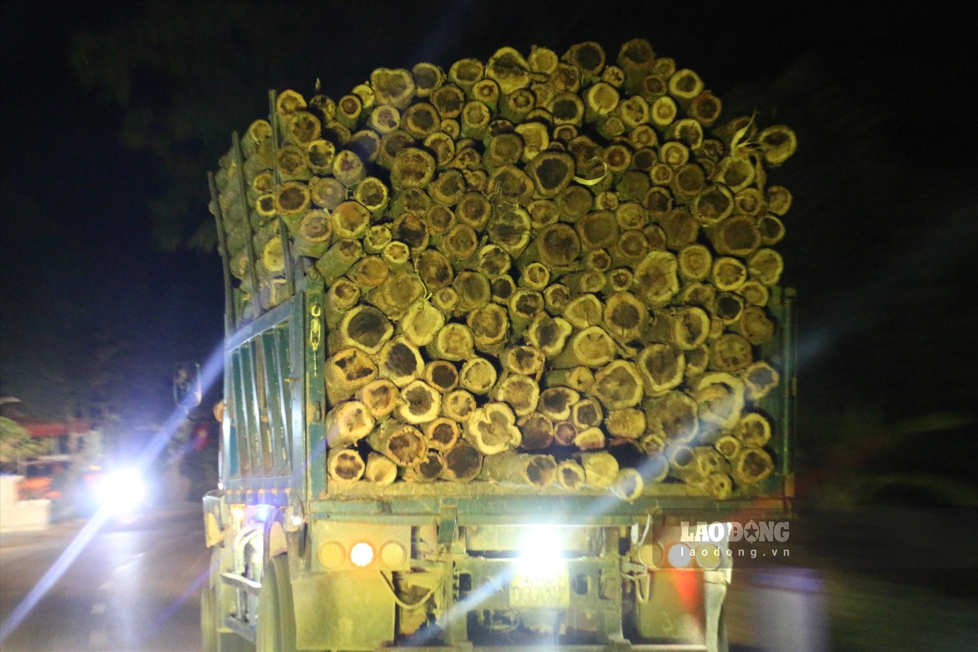 Hòa Bình chỉ đạo "nóng" xử lý xe chở gỗ keo có dấu hiệu quá khổ, quá tải