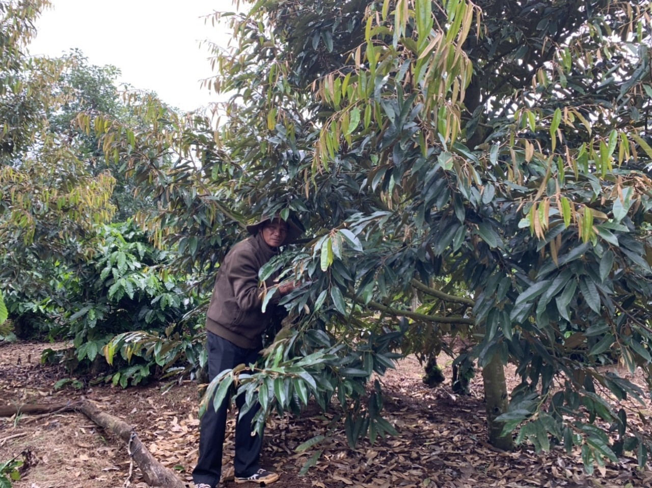 Ông Hoàng Duy Khánh (thị xã Buôn Hồ, tỉnh Đắk Lắk) . Ảnh: B.T