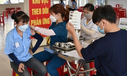 Mới chỉ có 20% người lao động Đà Nẵng tiêm vaccine COVID-19 mũi 4. Ảnh: TT