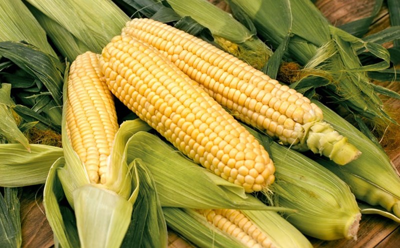 6 thực phẩm giàu protein hỗ trợ giảm cân hiệu quả và nhanh chóng