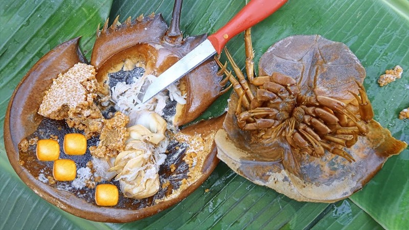 Món bún hải sản Móng Cái có đặc trưng gì so với các món bún hải sản khác trong khu vực?
