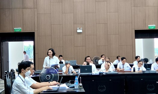 Luật sư Nguyễn Thị Thu nêu quan điểm, đề nghị toà chấp thuận để bên thứ ba ngay tình tiếp tục thực hiện dự án trên lô đất vàng 43 ha. Ảnh: C.H