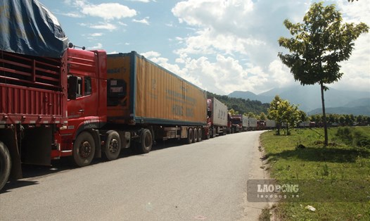 Nhiều xe chở hàng do thiếu lái xe trung chuyển đã bị mắc kẹt tại cửa khẩu Kim Thành nhiều ngày qua. Ảnh: Văn Đức.
