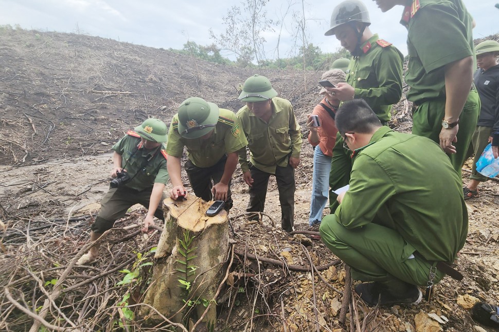 Điều tra vụ chặt phá rừng trái phép ở Khu bảo tồn Kẻ Gỗ