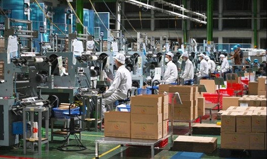 Sản xuất sản phẩm thân thiện môi trường tại nhà máy của An Phát Holdings.