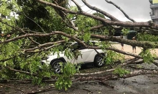 Mưa bão từ đêm 25 đến sâng 26.8 đã khiến tuyến đường bị ngập, phương tiện xe cộ và nhà cửa bị thiệt hại. Ảnh: CTV.