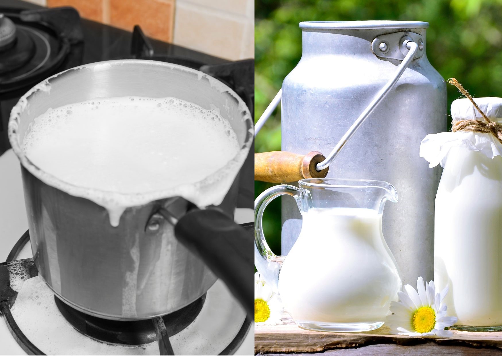 Lợi ích và những lưu ý khi đun sôi sữa